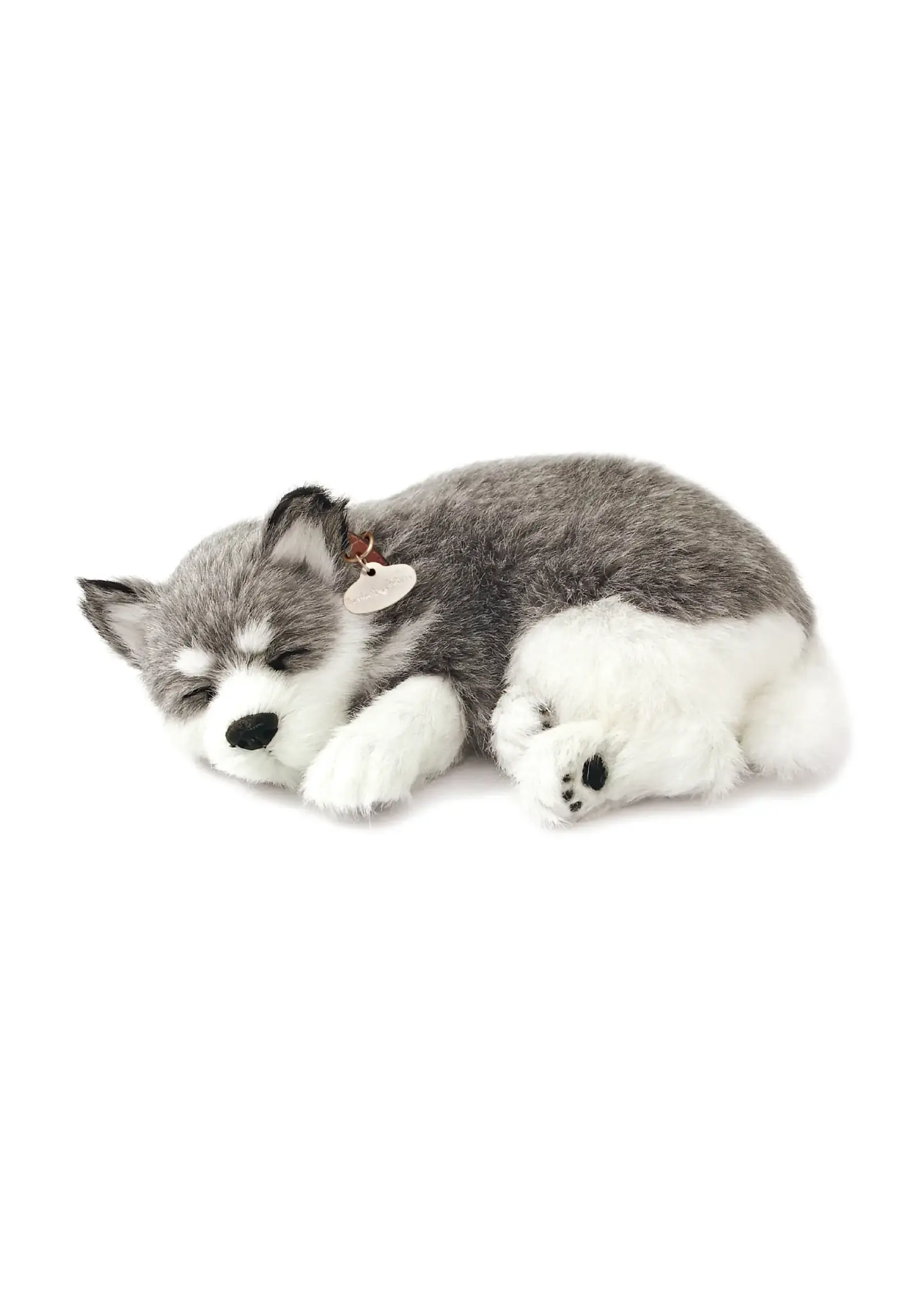 PERFECT PETZZZ PERFECT PETZ ALASKAN HUSKY