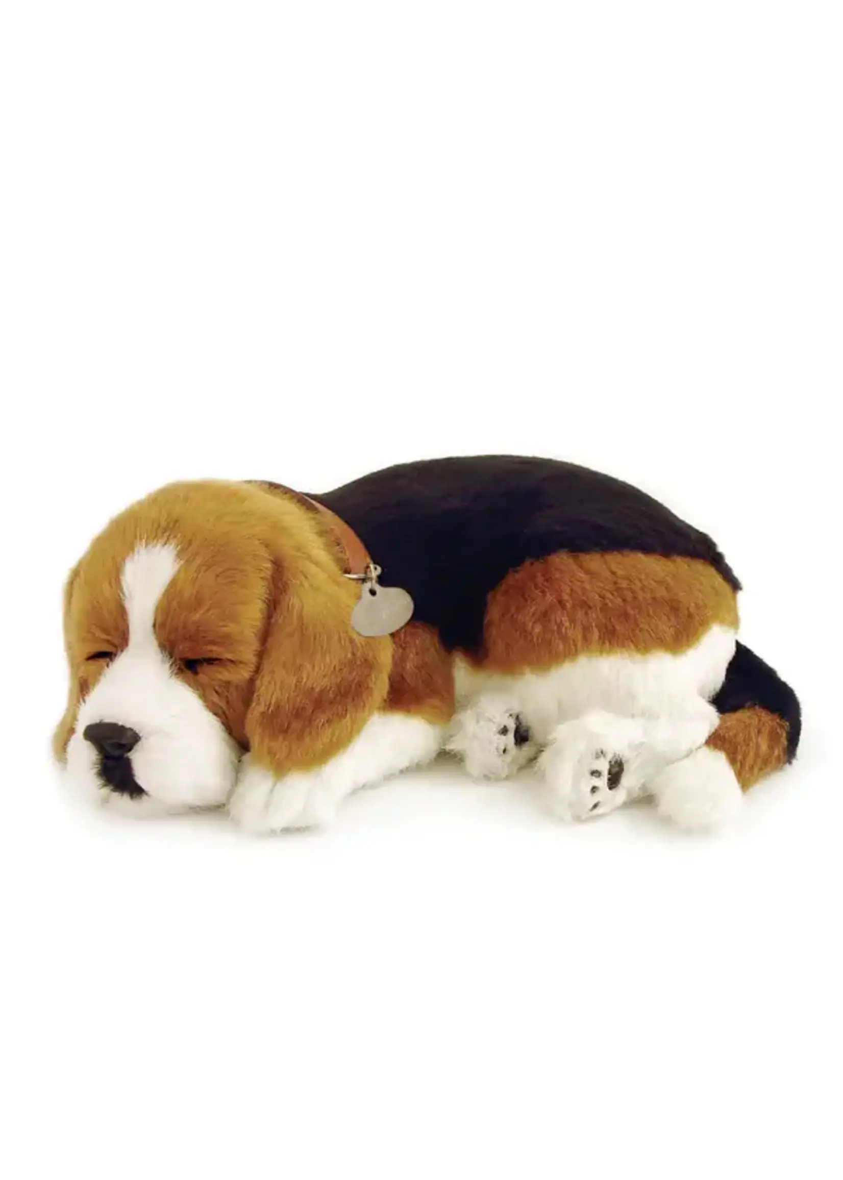 PERFECT PETZZZ PERFECT PETZ BEAGLE