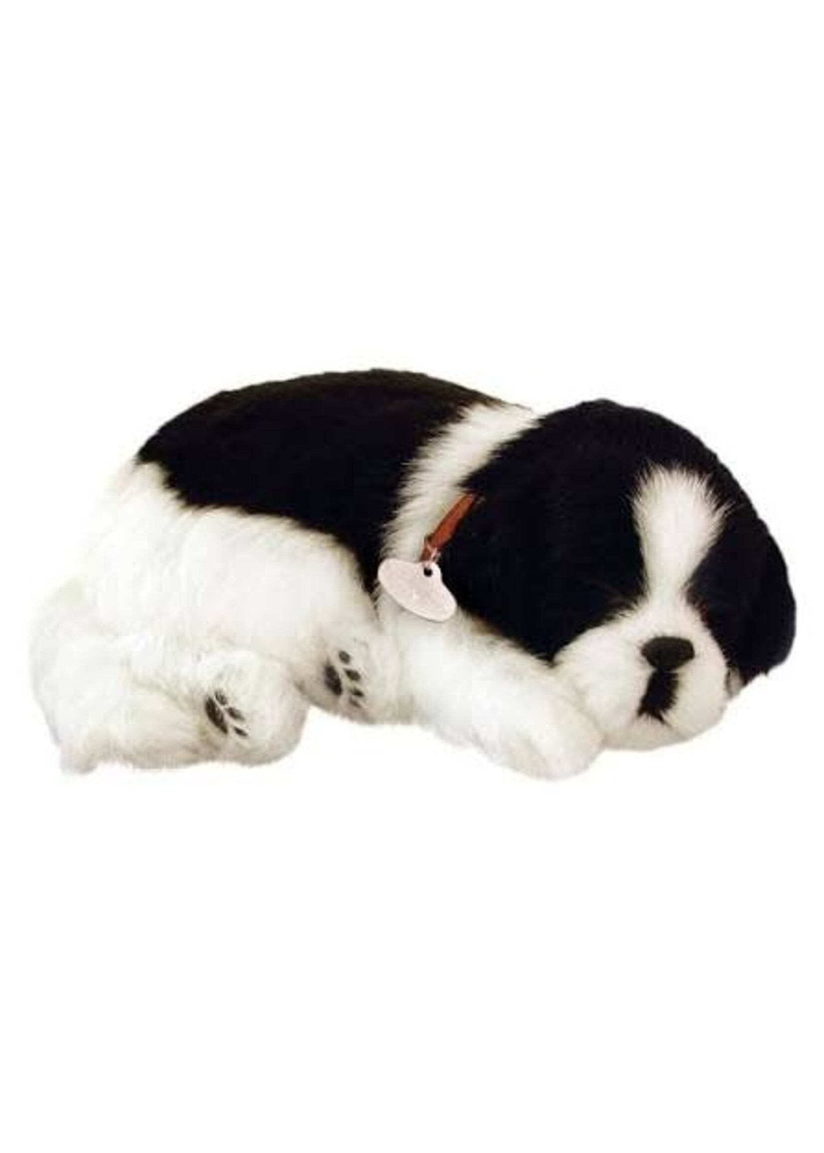 PERFECT PETZZZ PERFECT PETZ BORDER COLLIE