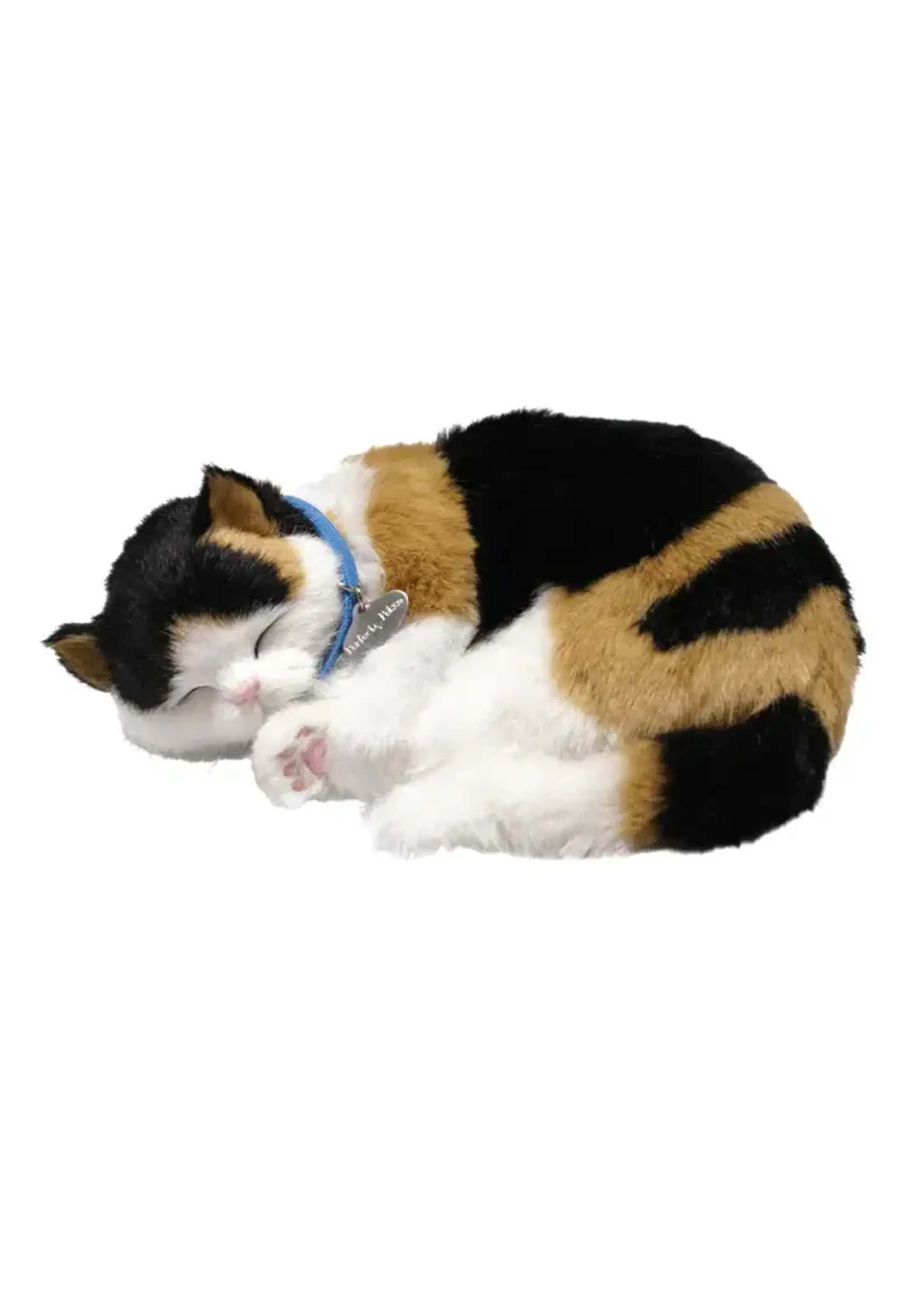 PERFECT PETZZZ PERFECT PETZ CALICO