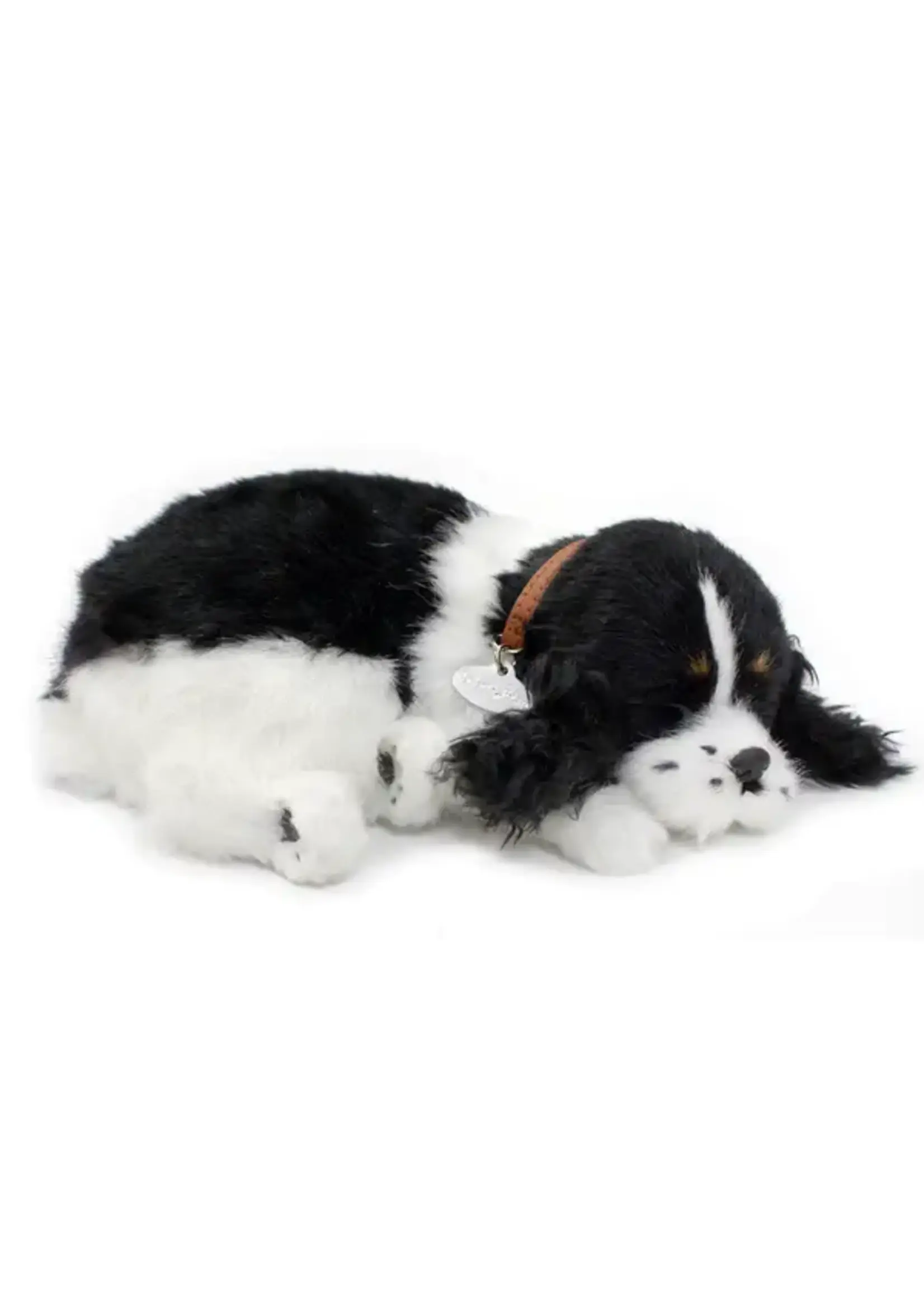 PERFECT PETZZZ PERFECT PETZ COCKER SPANIEL