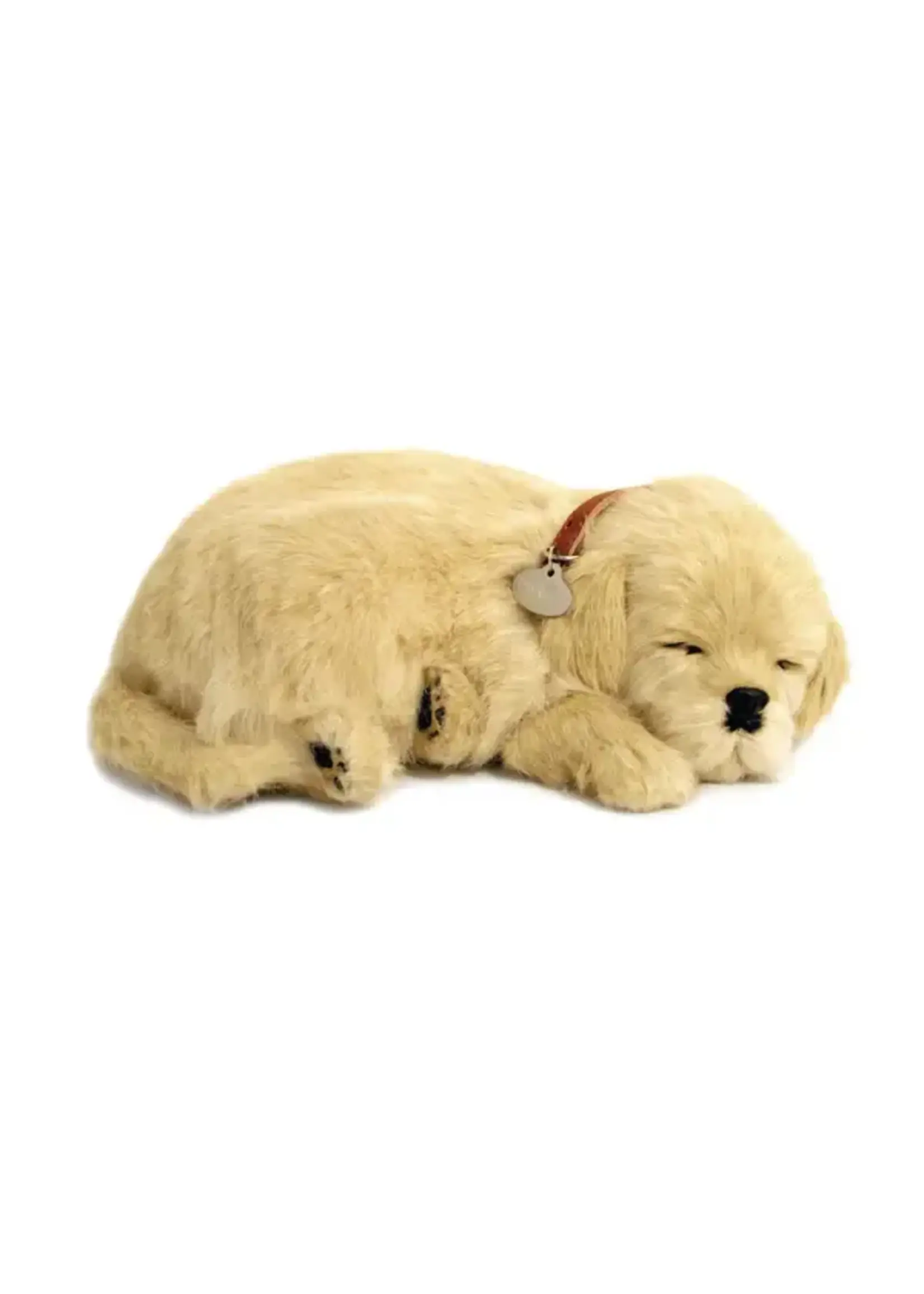 PERFECT PETZZZ PERFECT PETZ GOLDEN RETRIEVER
