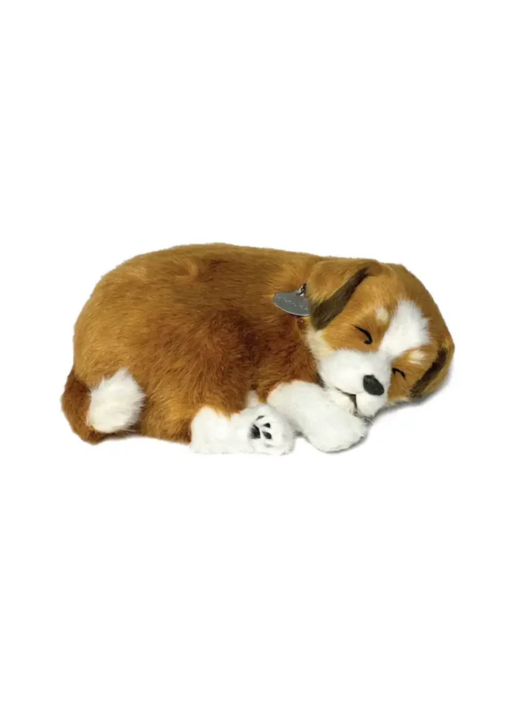 PERFECT PETZZZ PERFECT PETZ MUTT