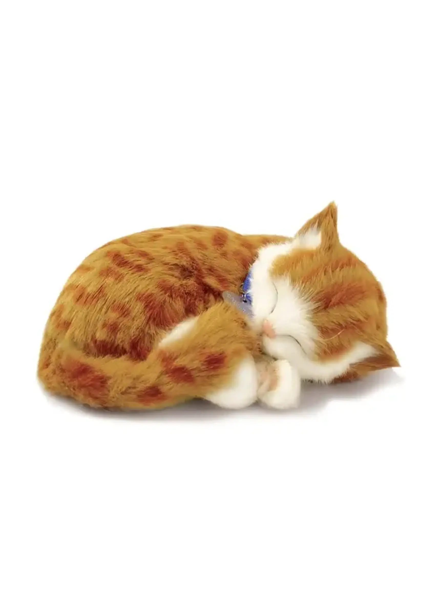 PERFECT PETZZZ PERFECT PETZ ORANGE TABBY