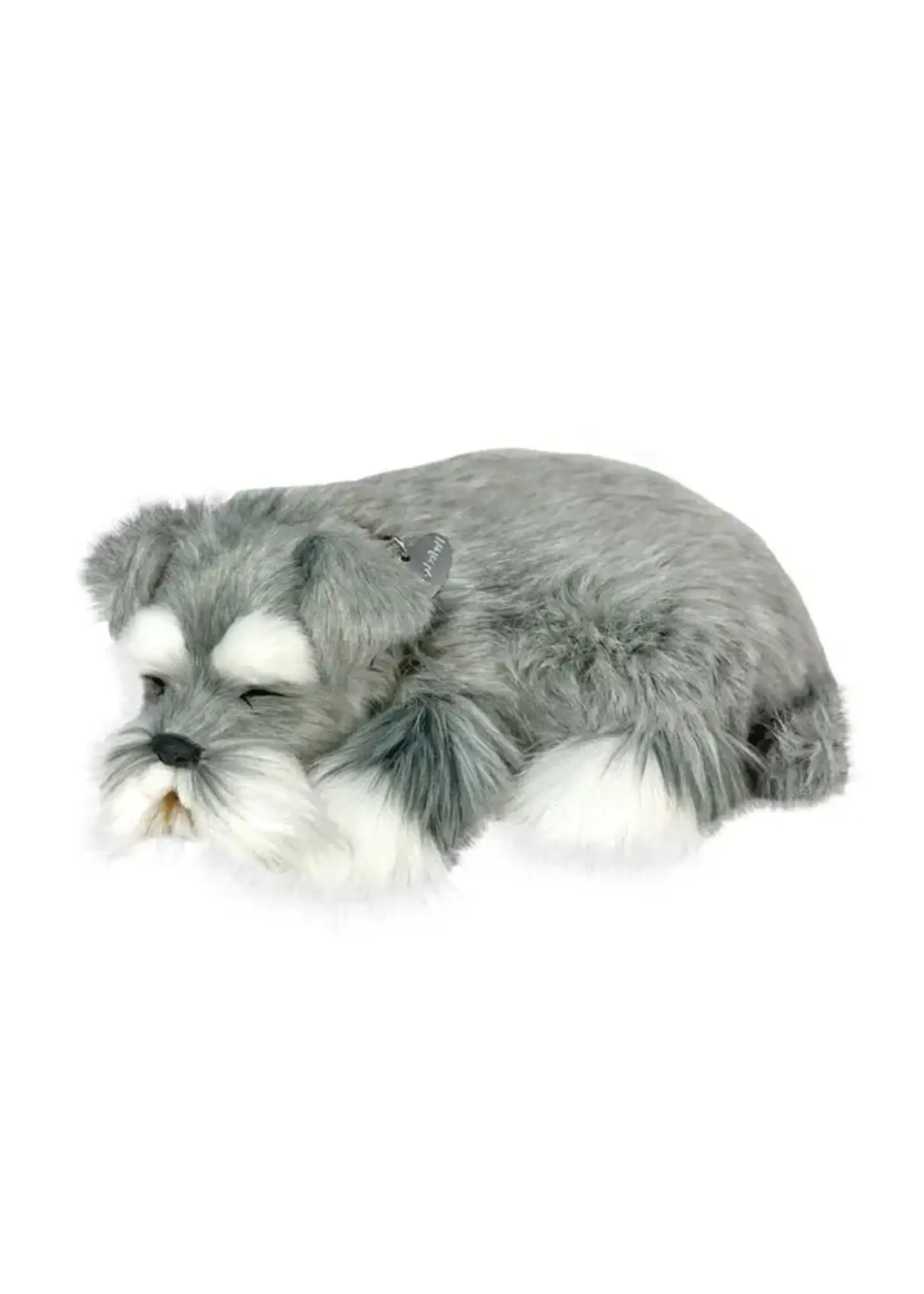 PERFECT PETZZZ PERFECT PETZ SCHNAUZER