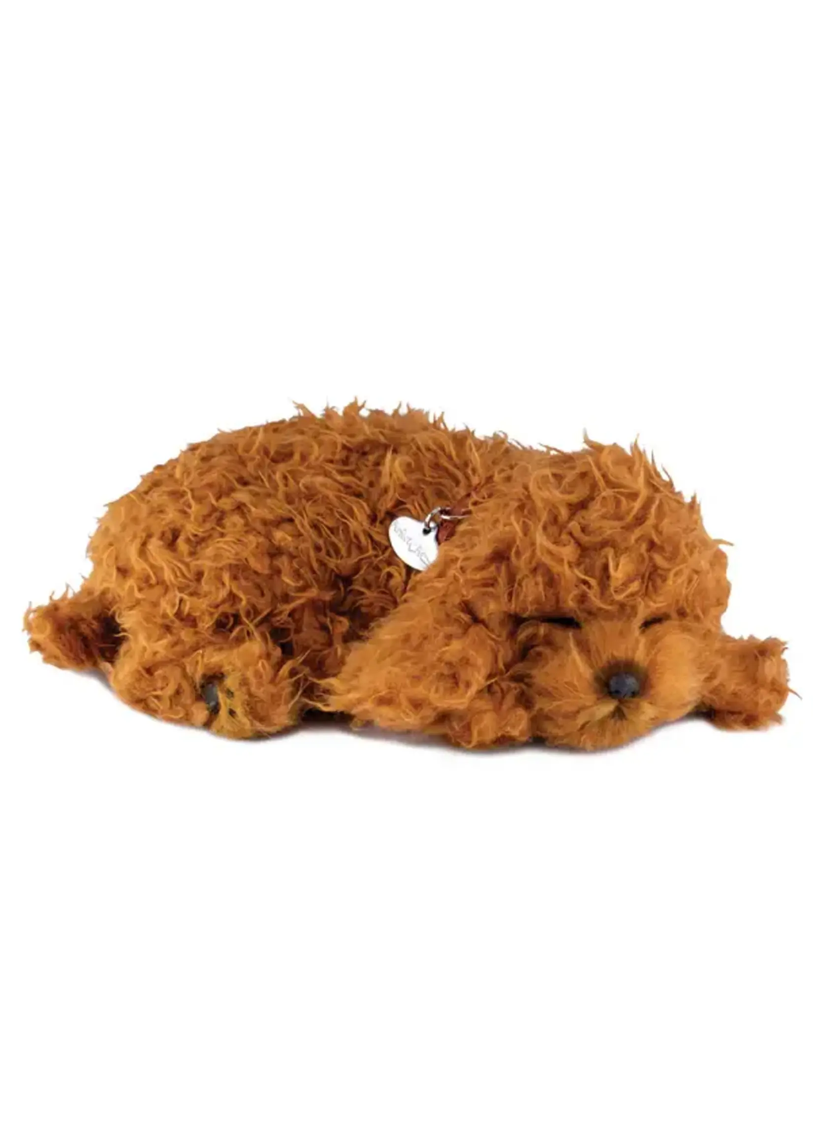 PERFECT PETZZZ PERFECT PETZ TOY POODLE