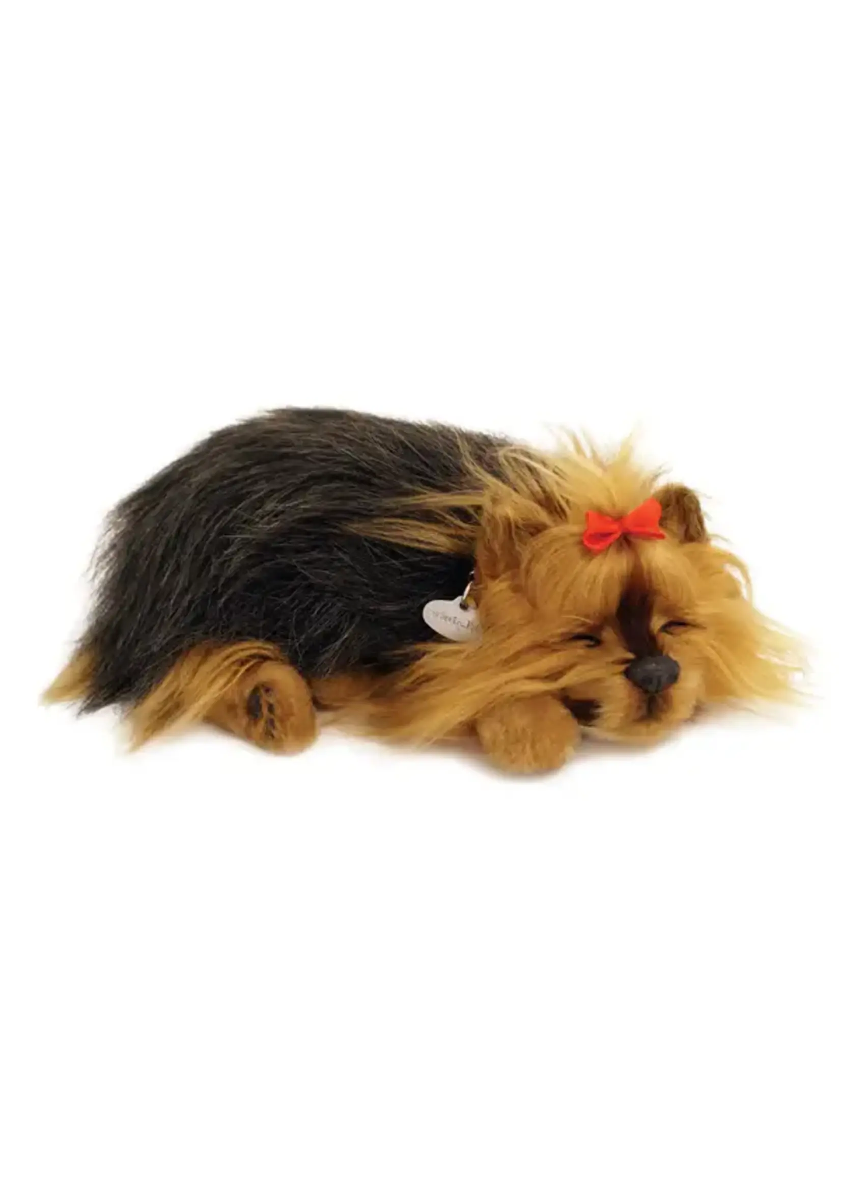 PERFECT PETZZZ PERFECT PETZ YORKIE