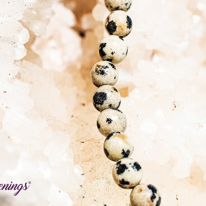 Dalmatian Jasper Bracelet - 4mm