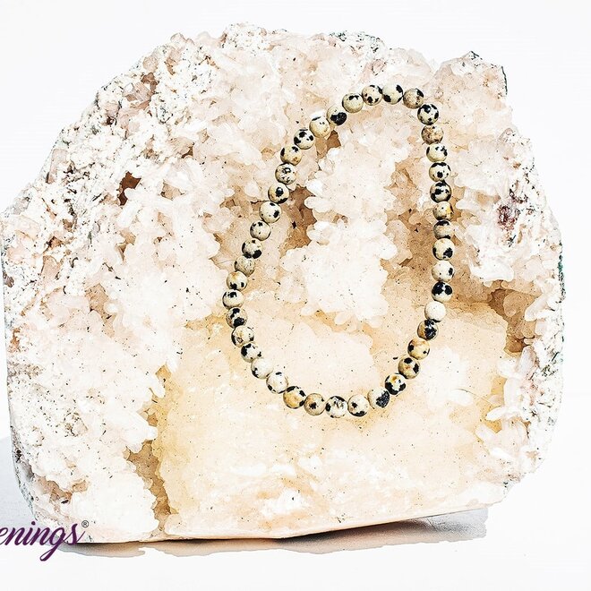 Dalmatian Jasper Bracelet - 4mm