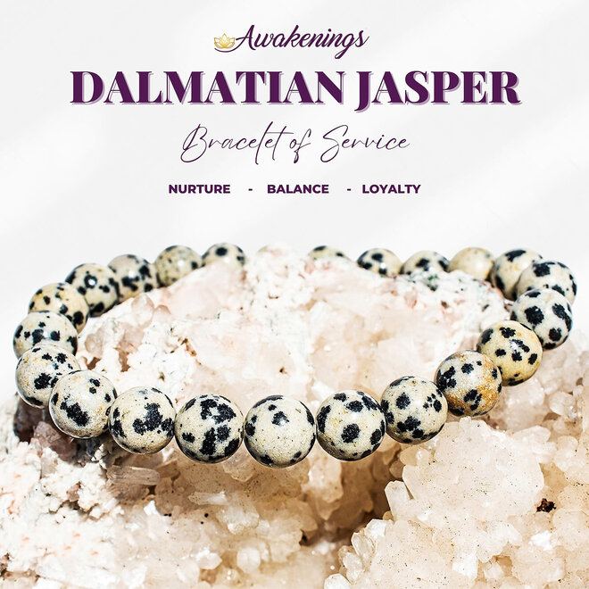 Dalmatian Jasper Bracelet- 8mm