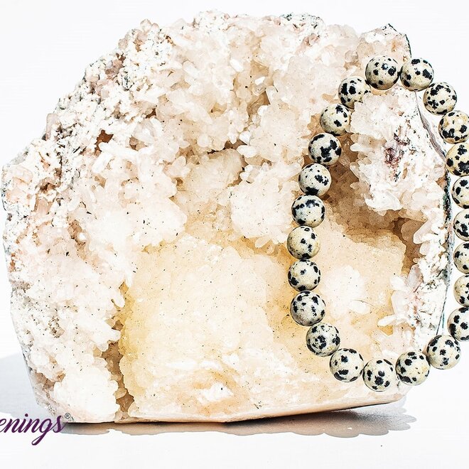 Dalmatian Jasper Bracelet- 8mm