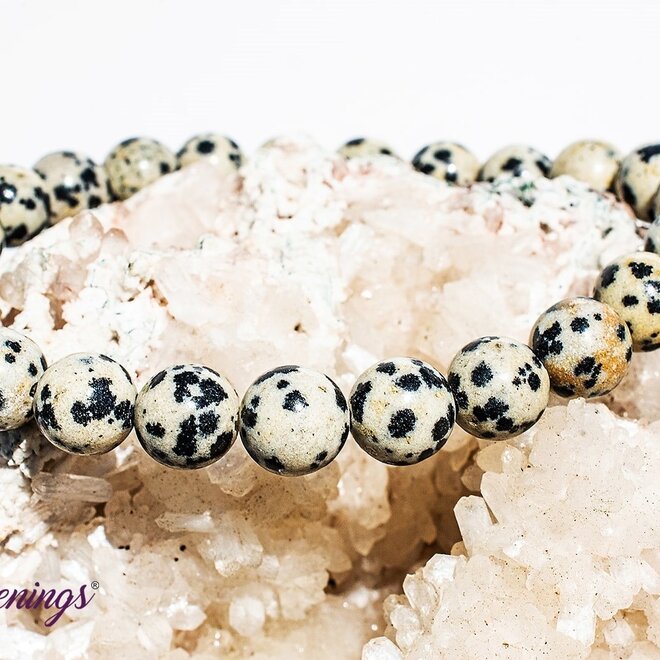 Dalmatian Jasper Bracelet- 8mm