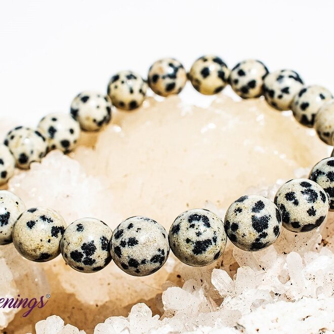 Dalmatian Jasper Bracelet- 8mm