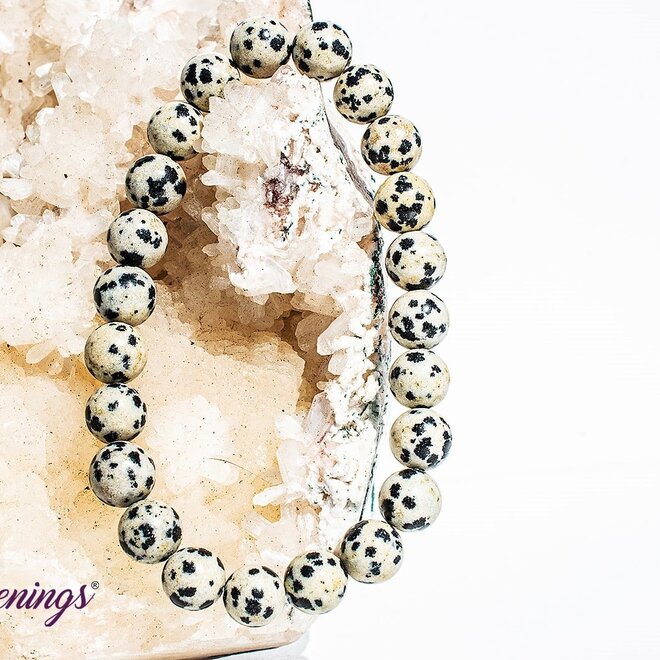 Dalmatian Jasper Bracelet- 8mm