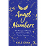 Angel Numbers - Kyle Gray Book
