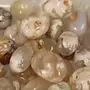 Flower Agate (Cherry Blossom) - Tumbled