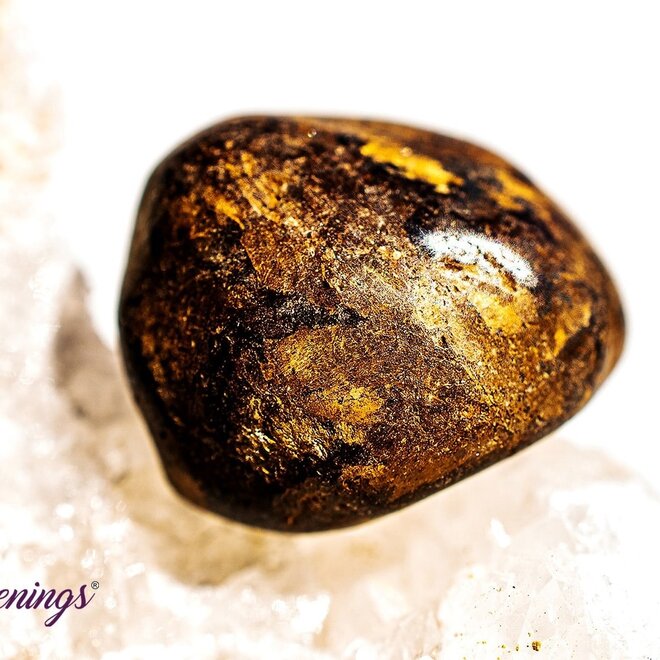 Bronzite (Enstatite) - Tumbled