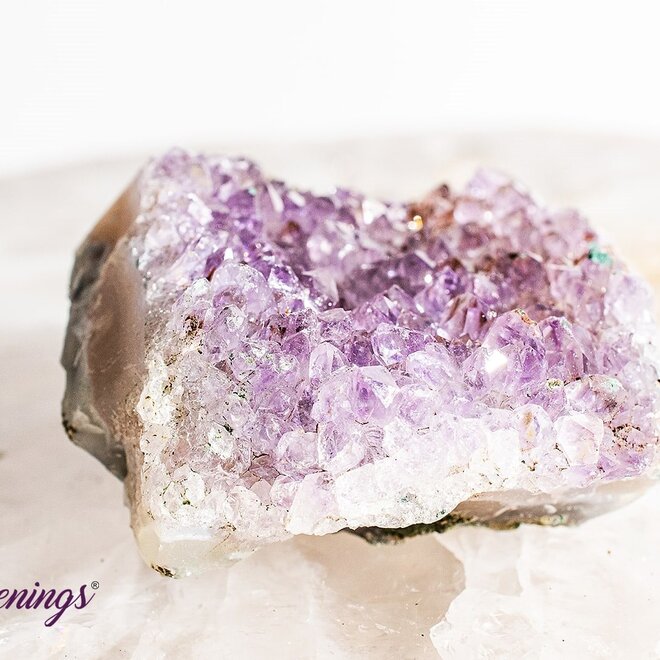 Amethyst Cluster Druzy Medium- Rough Raw Natural