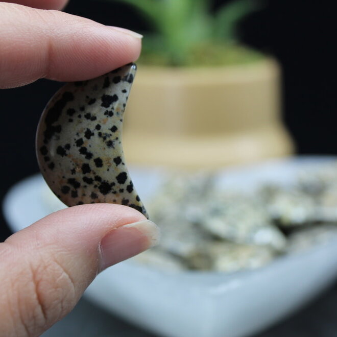 Dalmatian Jasper Moon- Medium