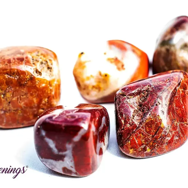 Brecciated Red Jasper - Tumbled