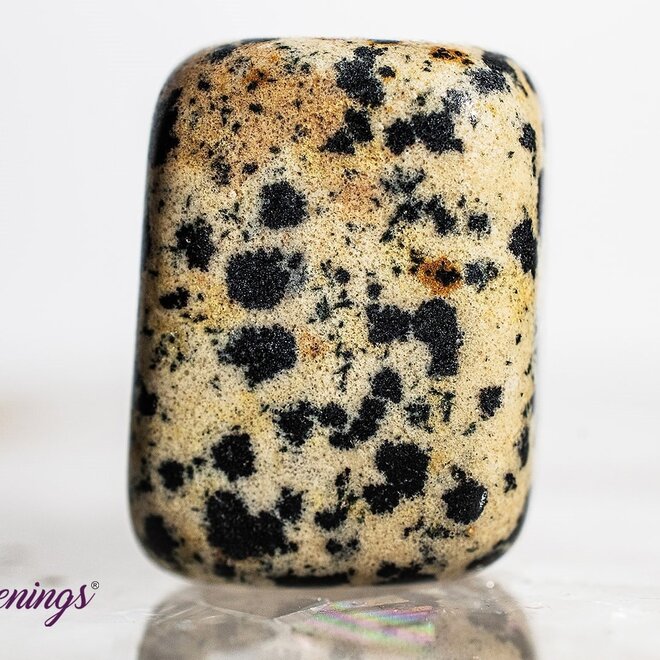 Dalmatian Jasper - Tumbled
