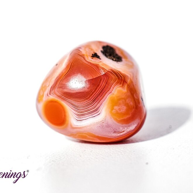 Banded Carnelian - Tumbled
