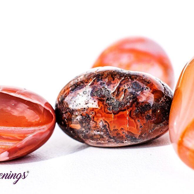 Banded Carnelian - Tumbled