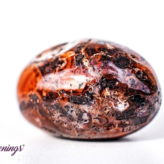 Banded Carnelian - Tumbled
