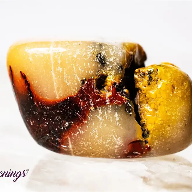 Mookaite Jasper - Tumbled