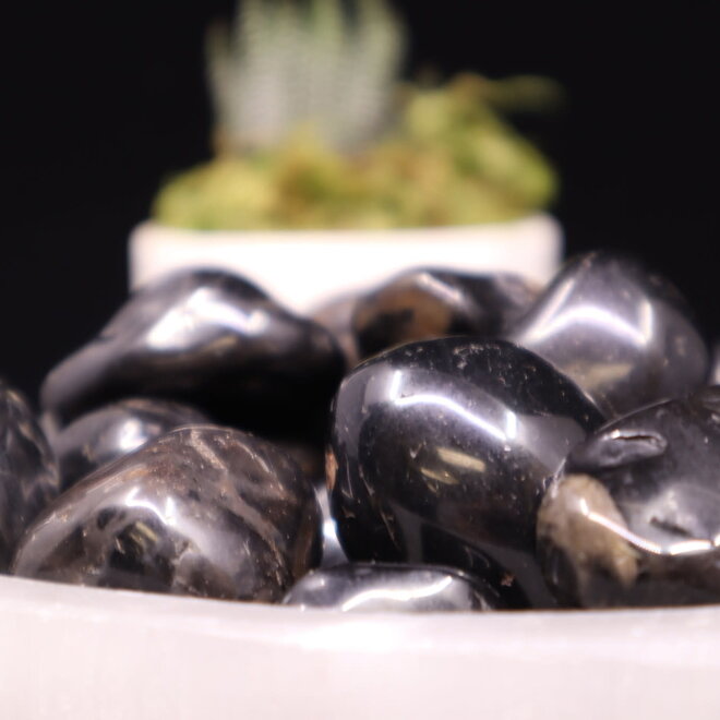 Black Onyx - Tumbled