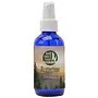 Protection Sage Spray 4 oz - Black Obsidian Crystal Infused Smudge Room Spray