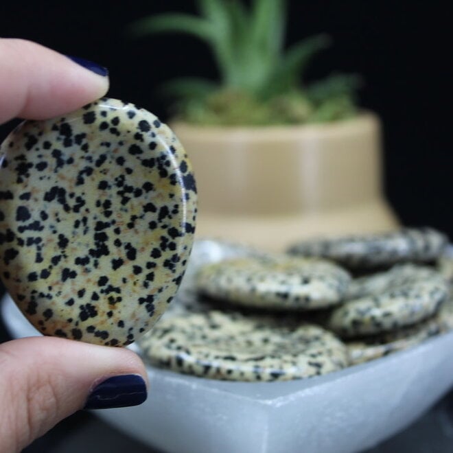 Dalmatian Jasper Worry Stone - Large Oval