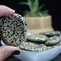 Dalmatian Jasper Worry Stone - Large Oval