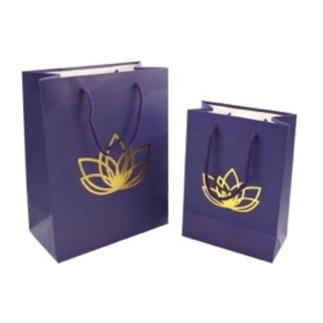 Small Gift Bag & Tissue Paper