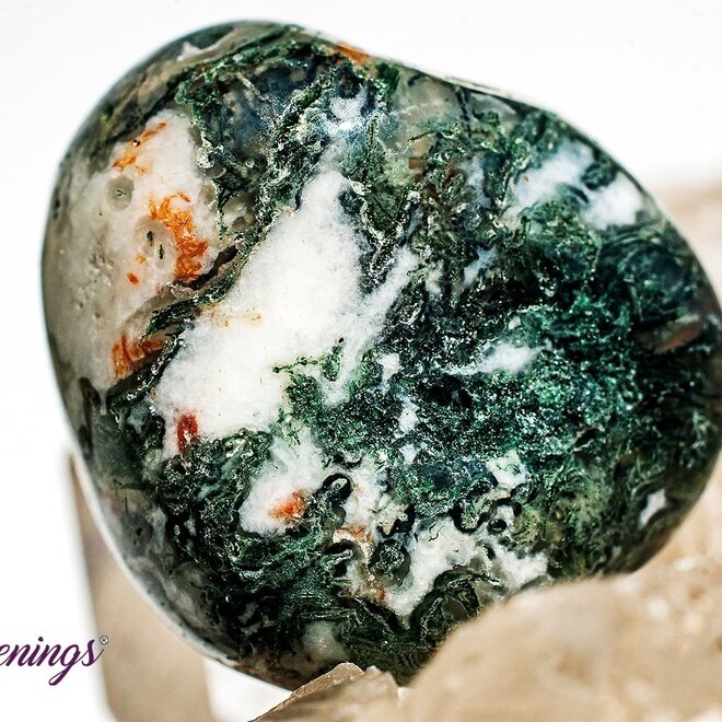 Tree Agate - Large Tumbled