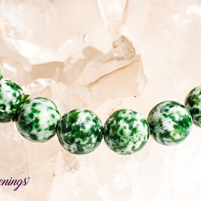 Tree Agate Bracelet- 8-9mm