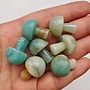 Amazonite Mushrooms - Mini