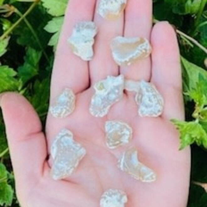 Snakeskin Snake Skin Agate - (Tumbled)
