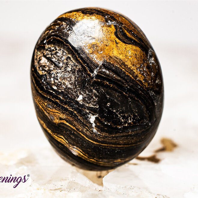 Stromatolite (Dark) Plum Jasper - Tumbled