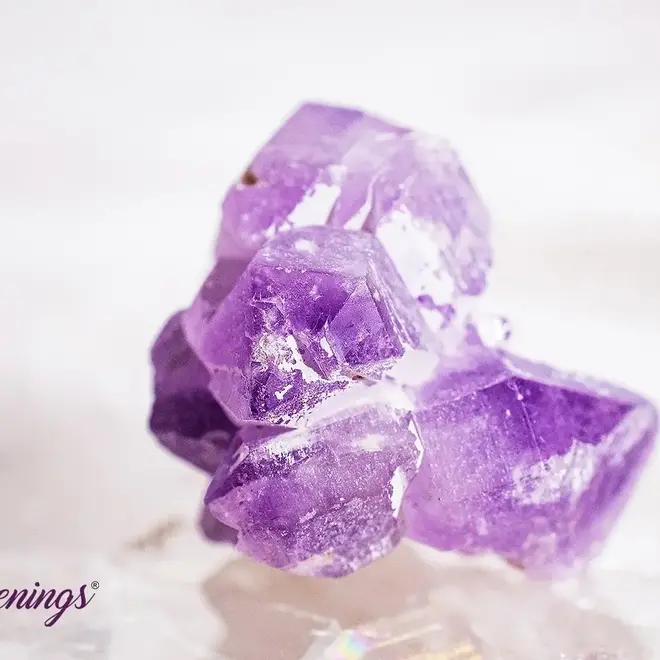 Amethyst Flower Point-Cluster Small