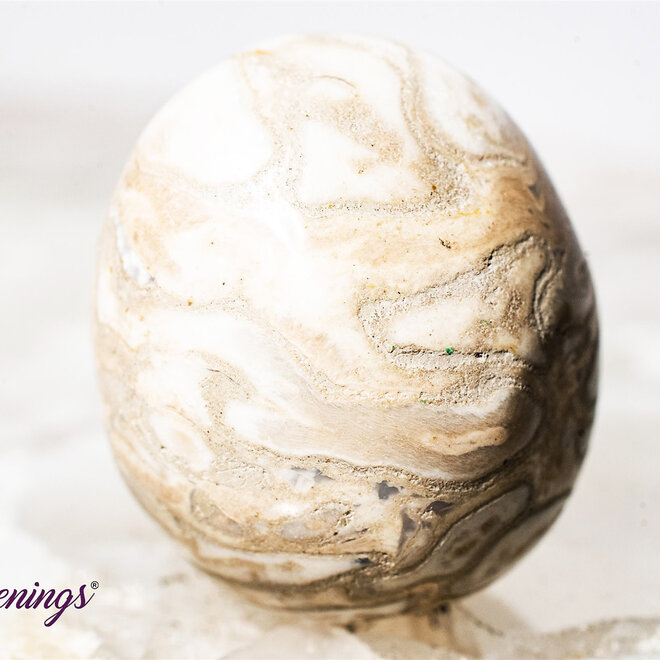 Palm Root Fossil - Tumbled