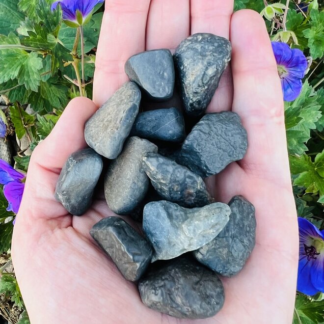Algerian Meteorite - Rough Raw Natural (Sahara Desert - 4.6 Billion Years Old)