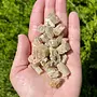 Yellow Apatite Small - Rough Raw Natural