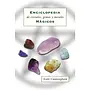 Encyclopedia of Crystal, Gem, and Metal Magic - Spanish Edition Book