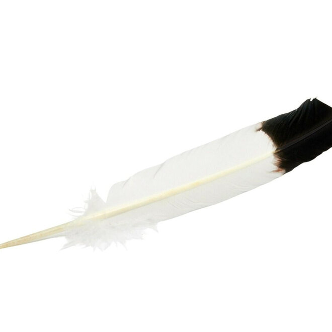 Eagle Feather for Sage/Smudging (Imitation)