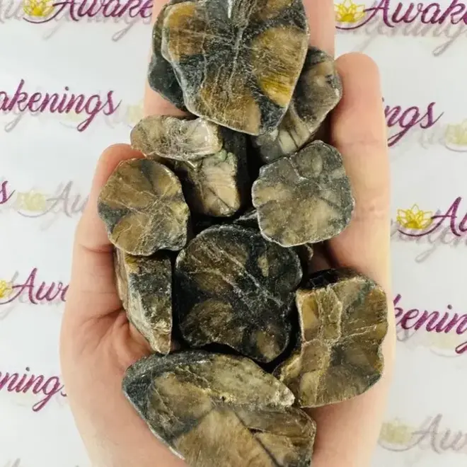 Chiastolite Slice - Medium Slab Flat