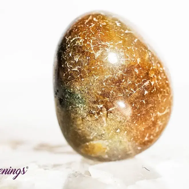 Fancy Jasper - Tumbled India