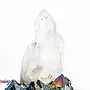 Clear Quartz Clusters- Medium Large (2-3") Rough Raw Natural Points