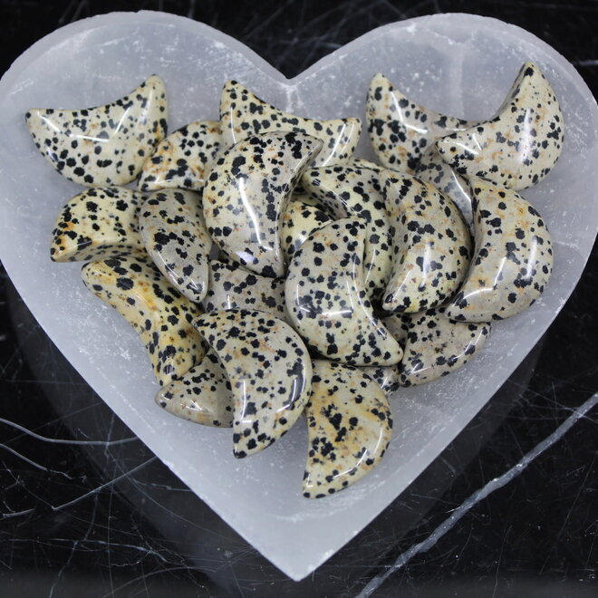 Dalmatian Jasper Moon- Medium