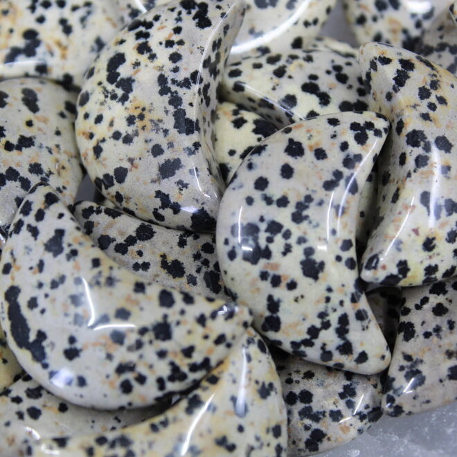 Dalmatian Jasper Moon- Medium